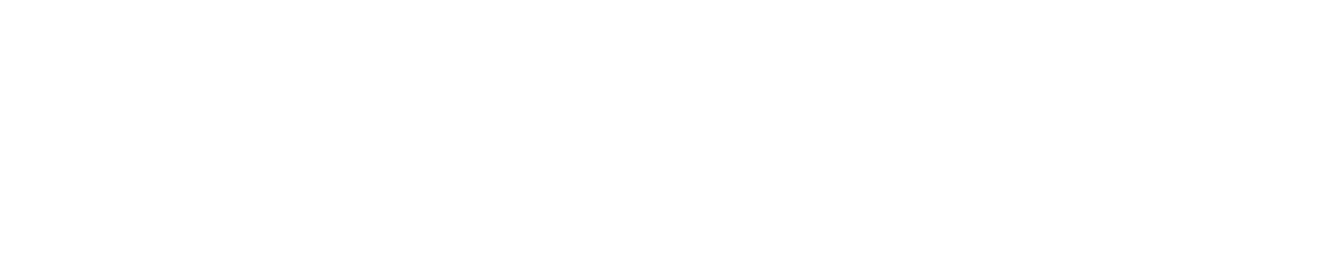 Wise Vision